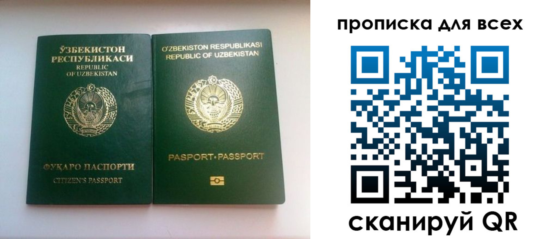 прописка для школы в Льгове